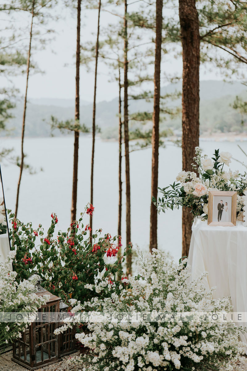 Pine trunks and the lake beside the welcome table, red flowers in the resort garden Pine trunks and the lake beside the welcome table, red flowers in the resort garden